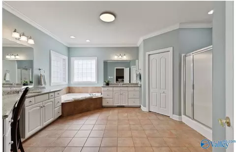 Bath - 11132 John Pugh Rd, Tanner, AL 35671 photo 1 of 3