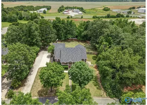 View/Area - 11132 John Pugh Rd, Tanner, AL 35671 photo 1 of 2