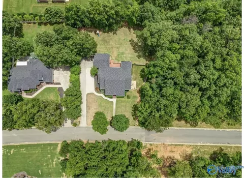 View/Area - 11132 John Pugh Rd, Tanner, AL 35671 photo 2 of 2