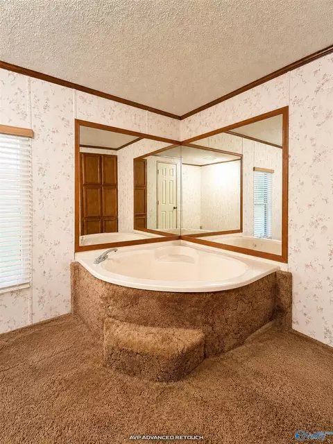 Bath - 10895 Griffith Rd, Tanner, AL 35671 photo 3 of 4