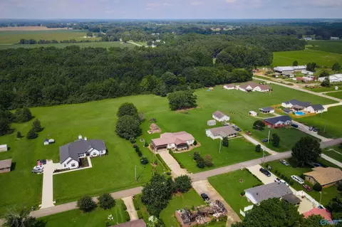 View/Area - 10895 Griffith Rd, Tanner, AL 35671 photo 1 of 3