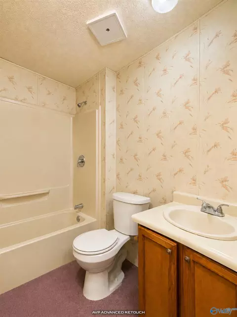 Bath - 10895 Griffith Rd, Tanner, AL 35671 photo 2 of 4
