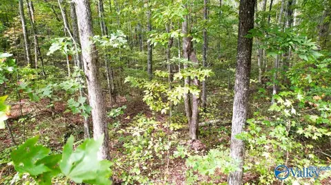 4 N 16 Acres N Stewart Ln, Rising Fawn, GA 30738