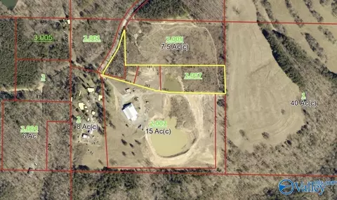 5 4 Acres County Road 1073, Vinemont, AL 35179