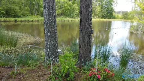 193 Ac County Road 1069, Vinemont, AL 35179