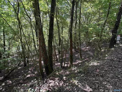 1500 County Road 103 #LOT 81, Mentone, AL 35984
