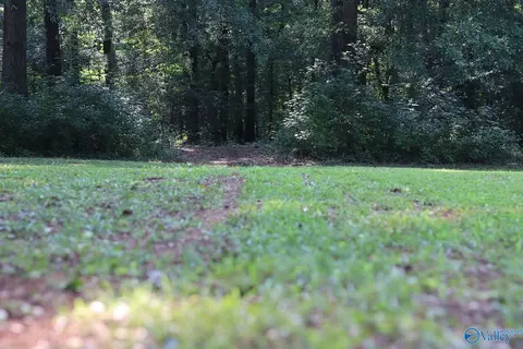 4 7 Acres Finlen Rd, Huntsville, AL 35811