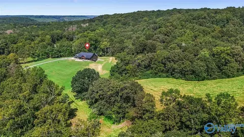 1128 Double S Mountain Rd, Baileyton, AL 35019