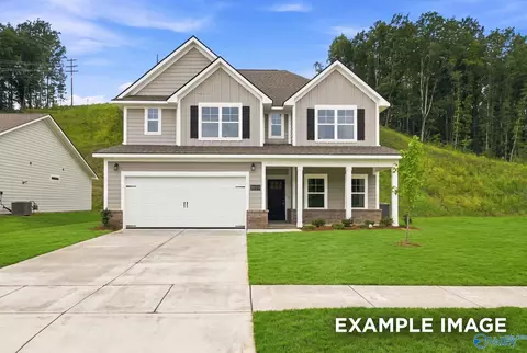 126 Berry Cove Ave, New Market, AL 35761