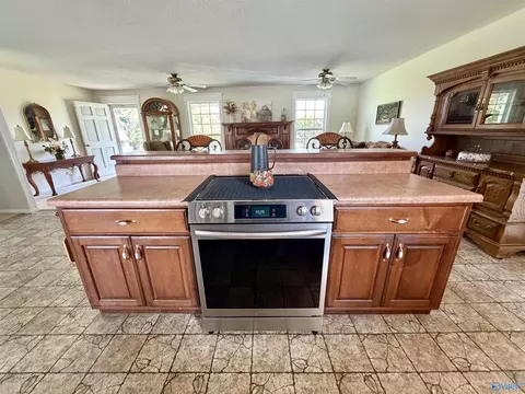 Kitchen - 315 Circle Dr, Dutton, AL 35744 photo 1 of 4