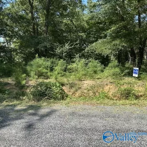 lot10 Dry Creek Rd, Cleveland, AL 35049