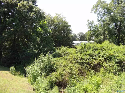 51 Gaines St, Crossville, AL 35962