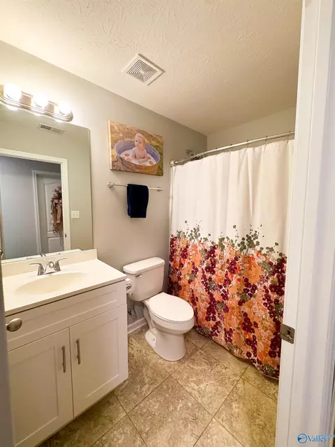 Bath - 2245 Madison Loop, Southside, AL 35907 photo 2 of 2