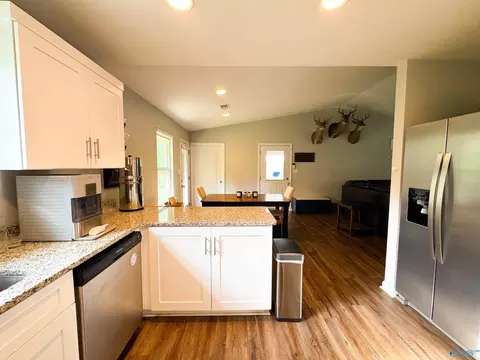 Kitchen - 2245 Madison Loop, Southside, AL 35907 photo 3 of 4