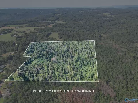 35 Acres Pine Ridge Rd, Union Grove, AL 35175