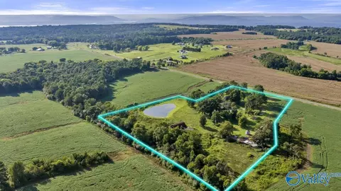 Other - 274 County Road 337, Section, AL 35771 photo 3 of 9
