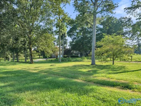 Exterior - 274 County Road 337, Section, AL 35771 photo 11 of 11