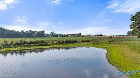View/Area - 274 County Road 337, Section, AL 35771 photo 2 of 4