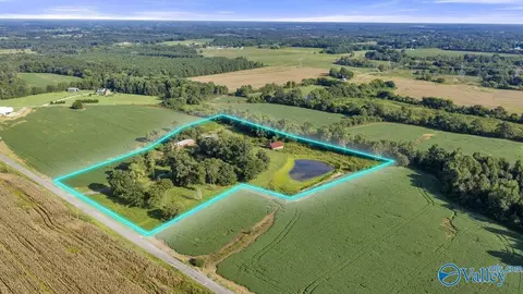 Other - 274 County Road 337, Section, AL 35771 photo 8 of 9
