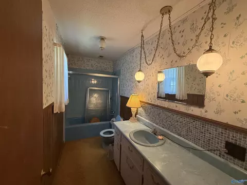 Bath - 258 N Mountain Dr, Trinity, AL 35673 photo 3 of 3