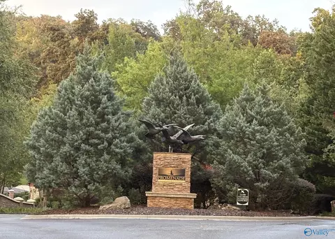 1930 Lookout Mountain Dr, Scottsboro, AL 35769