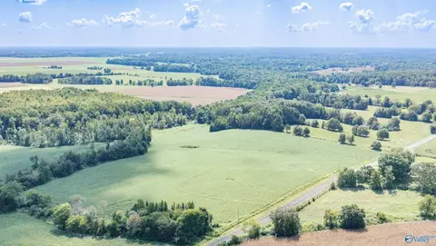 20 Acres County Road 134, Anderson, AL 35610