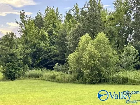 4250 Bennich Rd, Decatur, AL 35603