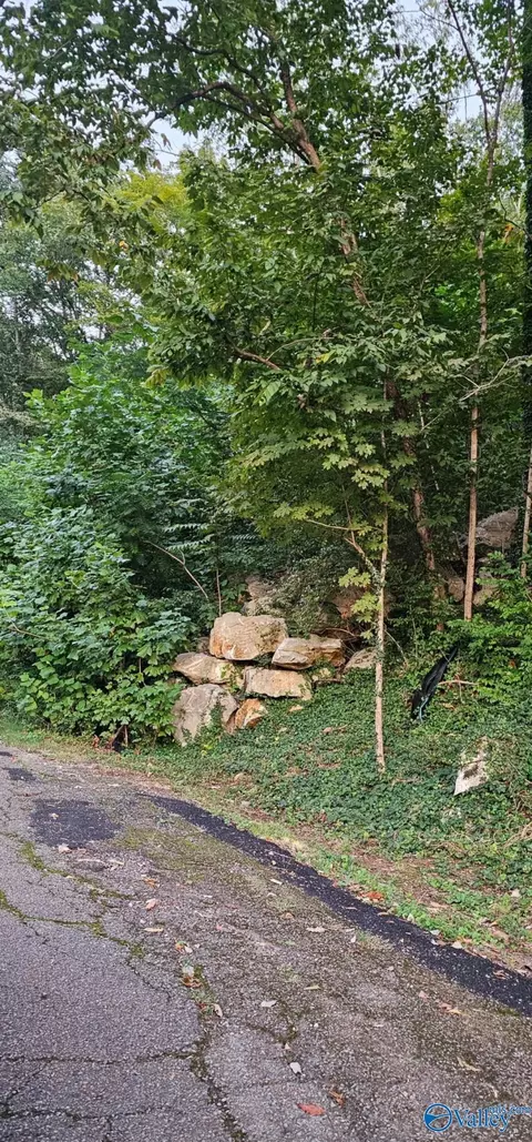 2806 Colice Rd, Huntsville, AL 35801
