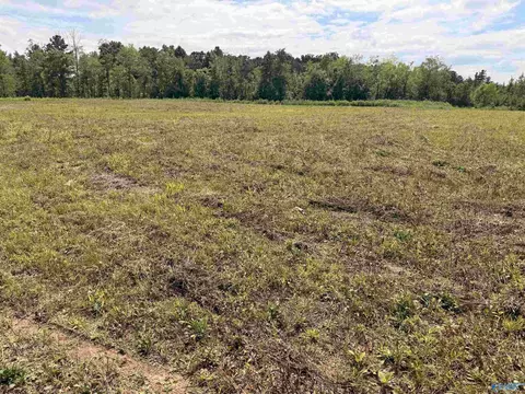lot48 County Road 32, Piedmont, AL 36272