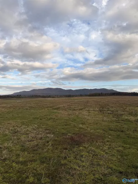 lot50 County Road 32, Piedmont, AL 36272