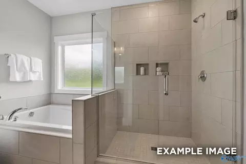 Bath - 149 Discovery Loop, Arab, AL 35016 photo 3 of 3
