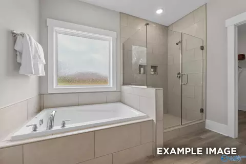 Bath - 149 Discovery Loop, Arab, AL 35016 photo 1 of 3