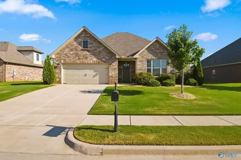 133 Berry Farm Rd, Meridianville, AL 35759