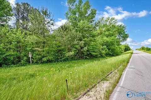 lot1 E Lacon Rd, Falkville, AL 35622