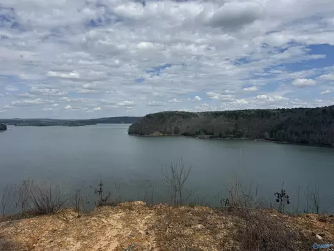 lot14 County Road 446, Crane Hill, AL 35053