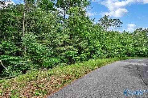 lot11 Mill Creek Rd, Falkville, AL 35622