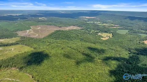 98 County Road 209, Collinsville, AL 35961