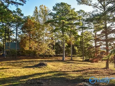 157 Edmonds Dr, Grant, AL 35747 photo 2