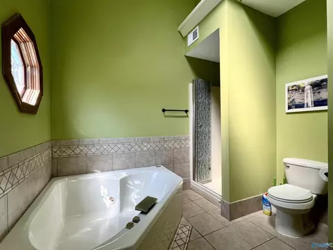 Bath - 116 Raspberry Way, Madison, AL 35757 photo 2 of 6
