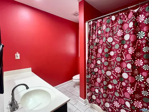 Bath - 116 Raspberry Way, Madison, AL 35757 photo 4 of 6