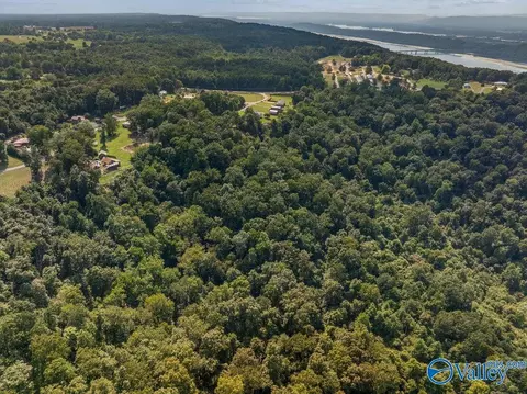 1 07 Acres County Road 223, Dutton, AL 35744 photo 3