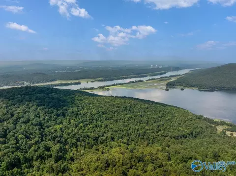 1 07 Acres County Road 223, Dutton, AL 35744 photo 8