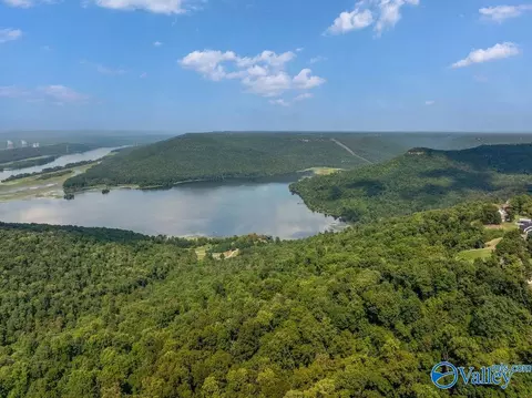 1 07 Acres County Road 223, Dutton, AL 35744 photo 7