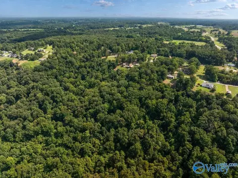 1 07 Acres County Road 223, Dutton, AL 35744 photo 4
