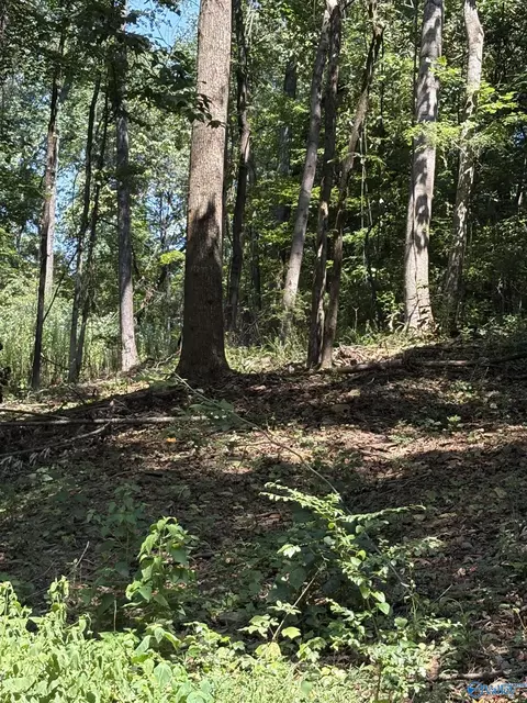 lot155 Sgt Holden Ln, Athens, AL 35614