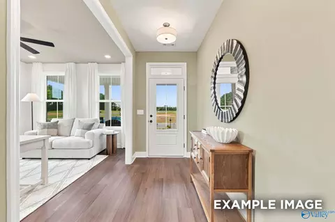 Entry Way - 154 Discovery Loop, Arab, AL 35016 photo 4 of 20