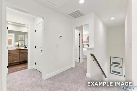 Entry Way - 154 Discovery Loop, Arab, AL 35016 photo 14 of 20
