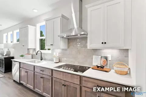 Kitchen - 154 Discovery Loop, Arab, AL 35016 photo 1 of 2