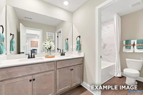 Bath - 154 Discovery Loop, Arab, AL 35016 photo 3 of 4