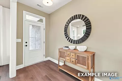 Entry Way - 154 Discovery Loop, Arab, AL 35016 photo 5 of 20